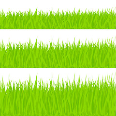 Image showing Grass Illustration