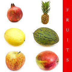 Image showing fruits