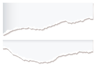 Image showing White paper rip edge