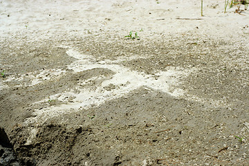 Image showing print on the sand