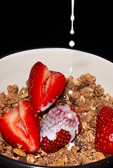 Image showing Muesli