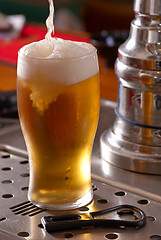 Image showing Pint of lager