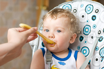 Image showing feeding