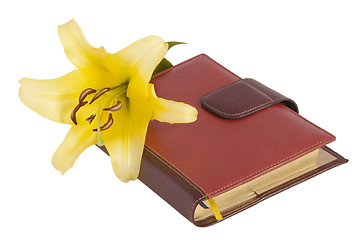 Image showing blossom yellow lily flower and notebook