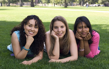 Image showing Smiling Friends