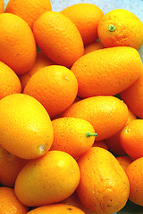 Image showing kumquats