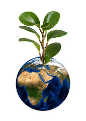 Image showing Earth planet with earth