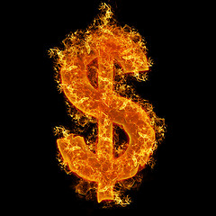Image showing Fire dollar sign