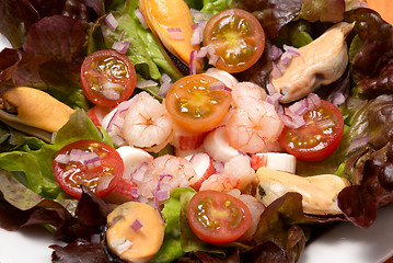 Image showing Shrimp salad