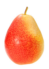 Image showing Single a red-yellow pear