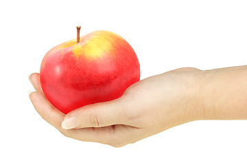 Image showing Single red apple in a hand of woman