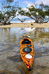 Image showing Kayaking