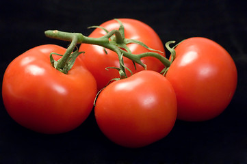 Image showing A bunch of ripe tomatoes on the vine.
