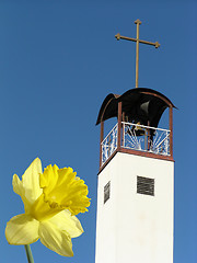 Image showing easter daffodil and belltower