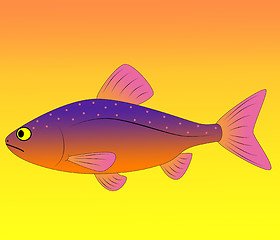 Image showing minnow