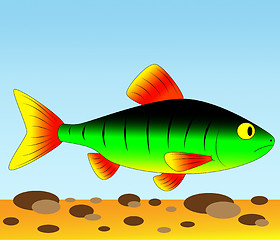 Image showing colorful fish