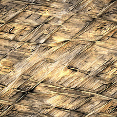 Image showing straw thatch background