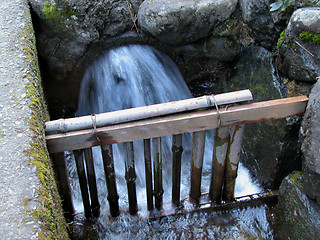 Image showing Water Torrent