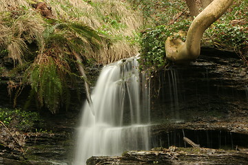 Image showing A Fall