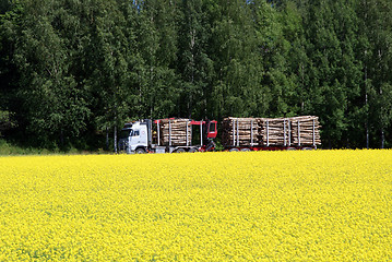 Image showing Logging Truck and Rapeseed Field