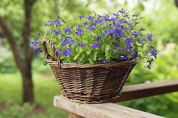 Image showing Basket with flowers