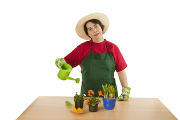 Image showing Gardener