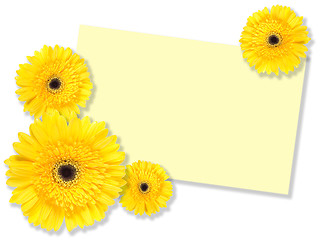 Image showing Yellow flowers with message-card