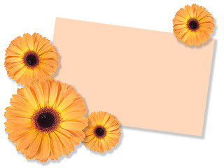 Image showing One orange flower with message-card