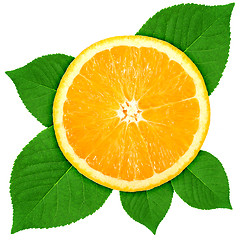 Image showing Single cross section of orange with green leaf