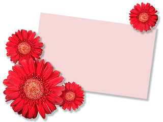 Image showing One red flower with message-card