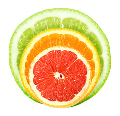 Image showing Set of cross a citrus fruits