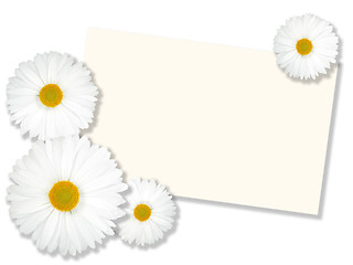 Image showing White flowers with message-card