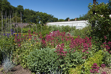 Image showing Victorian Walled Garden