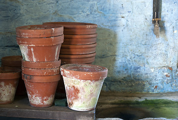 Image showing Plant Pots