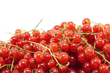 Image showing Red currant