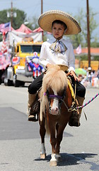 Image showing Ojai 4th of July Parade 2010