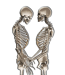 Image showing Skeletons In Love