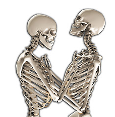 Image showing Tender Skeletons