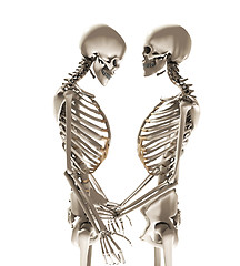 Image showing Skeletons In Love