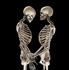 Image showing Skeletons In Love