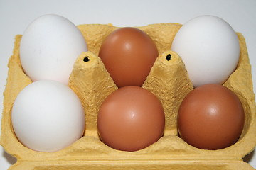 Image showing Eggs