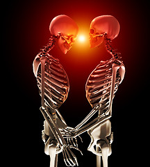 Image showing Skeletons In Love