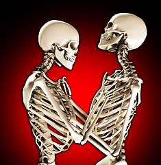 Image showing Tender Skeletons