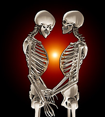 Image showing Skeletons In Love