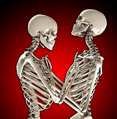 Image showing Tender Skeletons