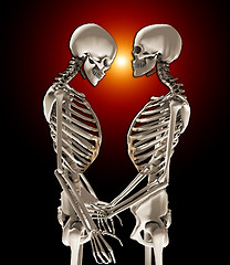 Image showing Skeletons In Love