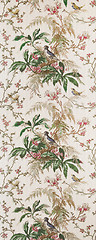 Image showing bird wallpaper