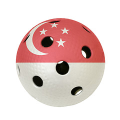 Image showing Floorball Ball Singapore