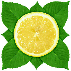 Image showing Single cross section of lemon with green leaf