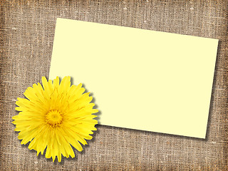 Image showing One yellow dandelion-flower with message-card